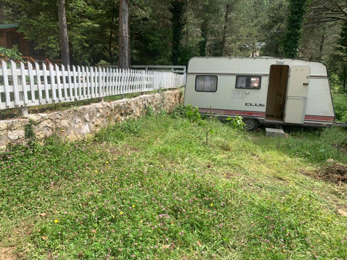 Bujtina Uji I Panjes, Log Cabins Dukat Eksteriør bilde