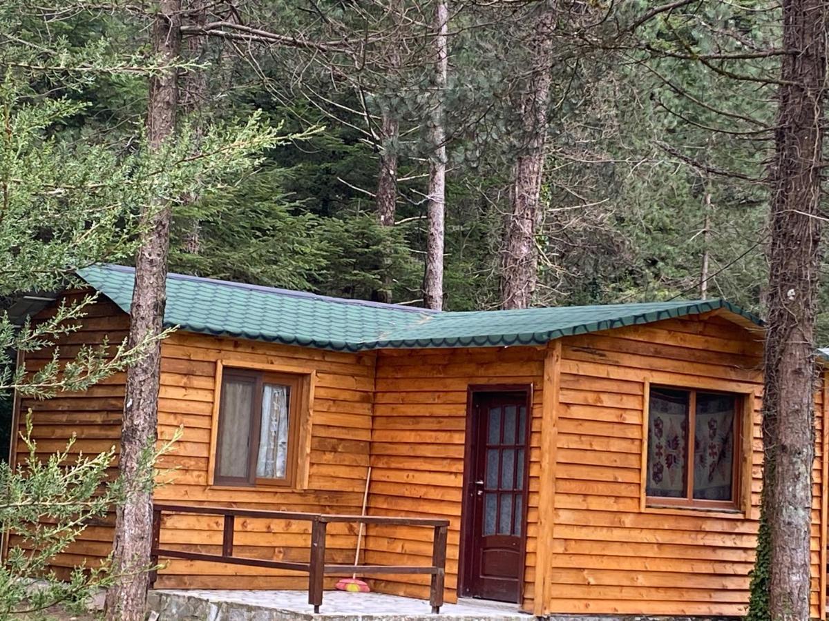 Bujtina Uji I Panjes, Log Cabins Dukat Eksteriør bilde